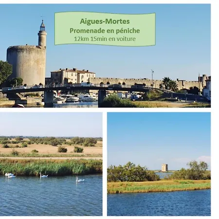 Moderne & Chic En Coeur De Clim Wifi Terrasse - Rossiconciergerie - Linge Inclus * La Grande Motte